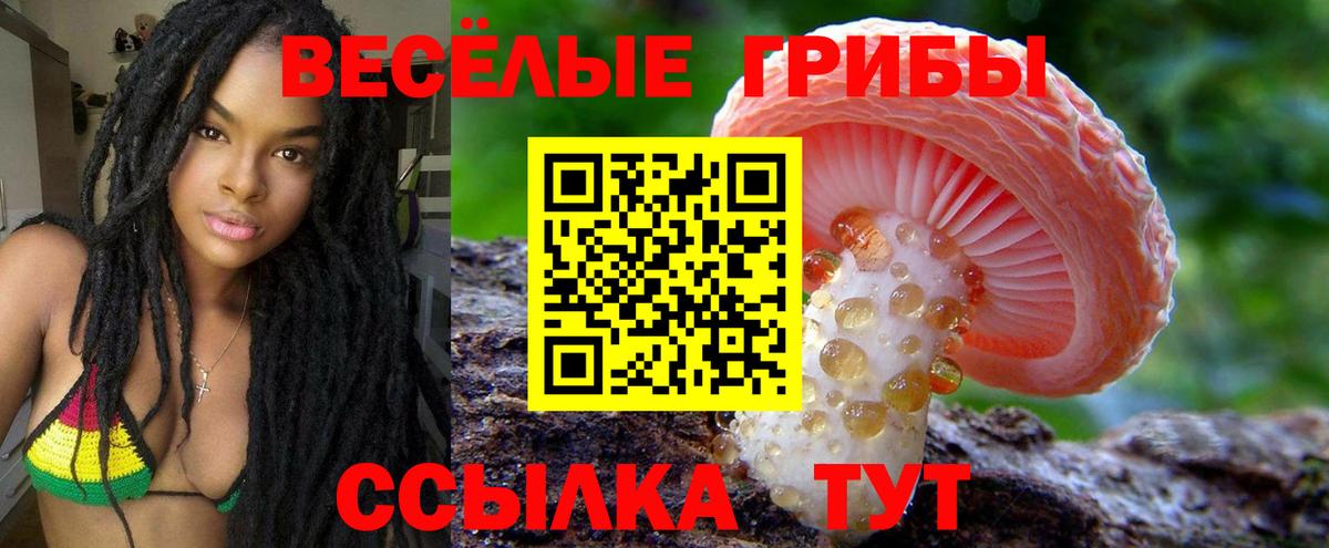 Галлюциногенные грибы GOLDEN TEACHER Воркута