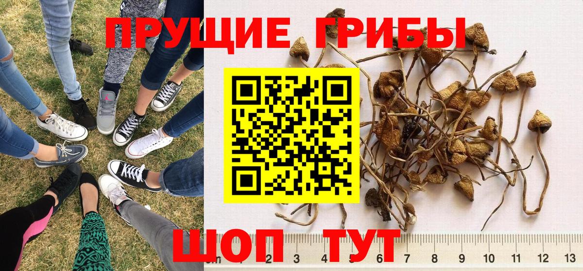 купить наркотик  Псилоцибиновые грибы GOLDEN TEACHER  Вход с VPN  Псилоцибиновые грибы мухоморы  Воркута 